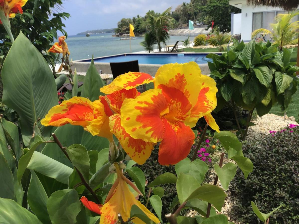 Bamboobeachvilla2 Ac New Oceanfront Pool Sunsetview Garden Kitchen Satellite Starlink Wi-Fi Dimiao Eksteriør billede